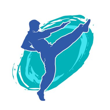 Dövüş sanatları pozu veren bir erkeğin silueti. Dövüş sanatları ustasının silueti tekme atma pozu veriyor..