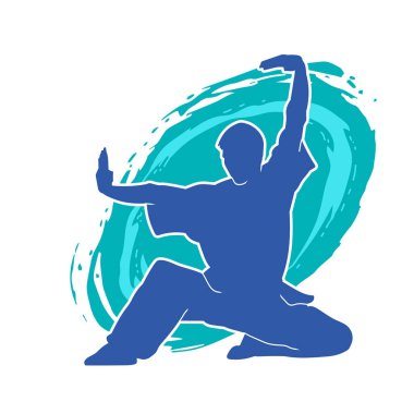 Doğu dövüş sanatı pozu veren bir adamın silueti. Dövüş sanatlarında bir erkeğin silueti..