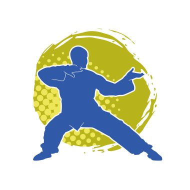 Doğu dövüş sanatı pozu veren bir adamın silueti. Dövüş sanatlarında bir erkeğin silueti..