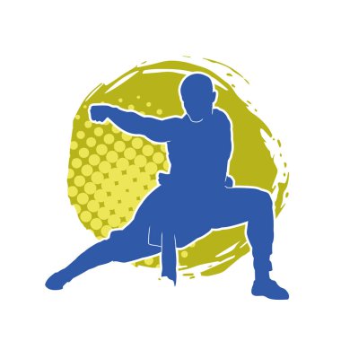 Doğu dövüş sanatı pozu veren bir adamın silueti. Dövüş sanatlarında bir erkeğin silueti..