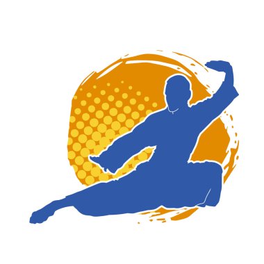 Doğu dövüş sanatı pozu veren bir adamın silueti. Dövüş sanatlarında bir erkeğin silueti..