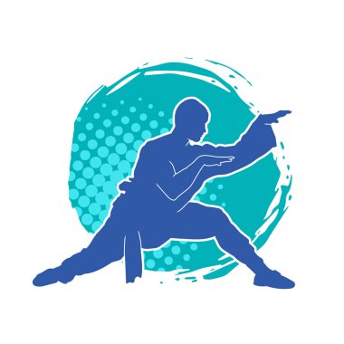 Doğu dövüş sanatı pozu veren bir adamın silueti. Dövüş sanatlarında bir erkeğin silueti..