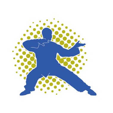 Doğu dövüş sanatı pozu veren bir adamın silueti. Dövüş sanatlarında bir erkeğin silueti..