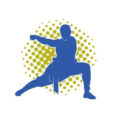 Doğu dövüş sanatı pozu veren bir adamın silueti. Dövüş sanatlarında bir erkeğin silueti..