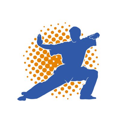 Doğu dövüş sanatı pozu veren bir adamın silueti. Dövüş sanatlarında bir erkeğin silueti..