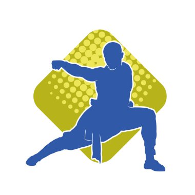 Doğu dövüş sanatı pozu veren bir adamın silueti. Dövüş sanatlarında bir erkeğin silueti..