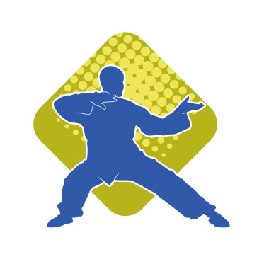 Doğu dövüş sanatı pozu veren bir adamın silueti. Dövüş sanatlarında bir erkeğin silueti..