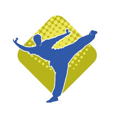 Dövüş sanatları pozu veren bir erkeğin silueti. Dövüş sanatları ustasının silueti tekme atma pozu veriyor..