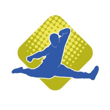 Doğu dövüş sanatı pozu veren bir adamın silueti. Dövüş sanatlarında bir erkeğin silueti..