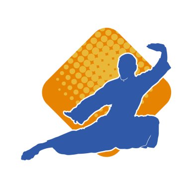 Doğu dövüş sanatı pozu veren bir adamın silueti. Dövüş sanatlarında bir erkeğin silueti..