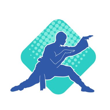 Doğu dövüş sanatı pozu veren bir adamın silueti. Dövüş sanatlarında bir erkeğin silueti..