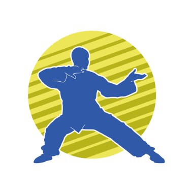 Doğu dövüş sanatı pozu veren bir adamın silueti. Dövüş sanatlarında bir erkeğin silueti..