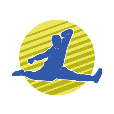 Doğu dövüş sanatı pozu veren bir adamın silueti. Dövüş sanatlarında bir erkeğin silueti..