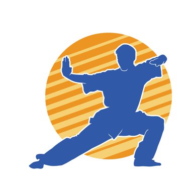 Doğu dövüş sanatı pozu veren bir adamın silueti. Dövüş sanatlarında bir erkeğin silueti..