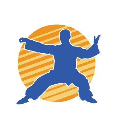 Doğu dövüş sanatı pozu veren bir adamın silueti. Dövüş sanatlarında bir erkeğin silueti..