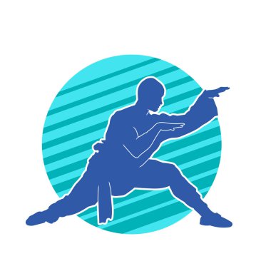 Doğu dövüş sanatı pozu veren bir adamın silueti. Dövüş sanatlarında bir erkeğin silueti..