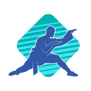 Doğu dövüş sanatı pozu veren bir adamın silueti. Dövüş sanatlarında bir erkeğin silueti..