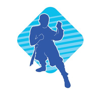 Doğu dövüş sanatı pozu veren bir adamın silueti. Dövüş sanatlarında bir erkeğin silueti..