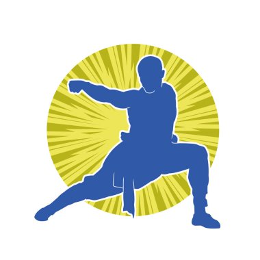 Doğu dövüş sanatı pozu veren bir adamın silueti. Dövüş sanatlarında bir erkeğin silueti..