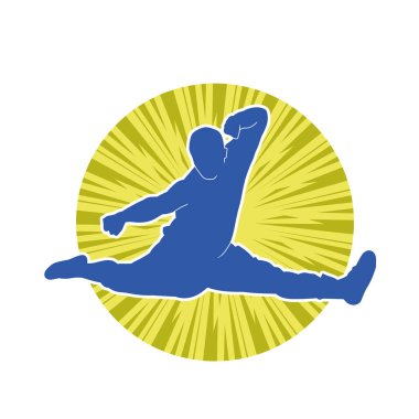 Doğu dövüş sanatı pozu veren bir adamın silueti. Dövüş sanatlarında bir erkeğin silueti..