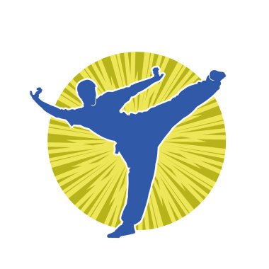 Dövüş sanatları pozu veren bir erkeğin silueti. Dövüş sanatları ustasının silueti tekme atma pozu veriyor..