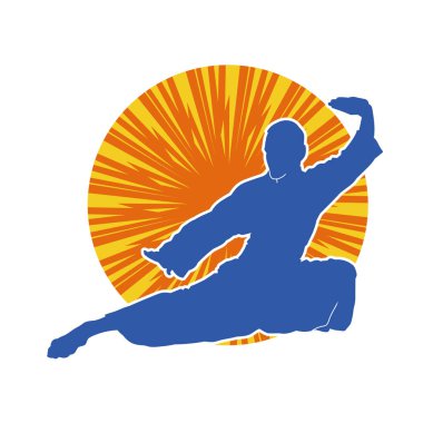 Doğu dövüş sanatı pozu veren bir adamın silueti. Dövüş sanatlarında bir erkeğin silueti..