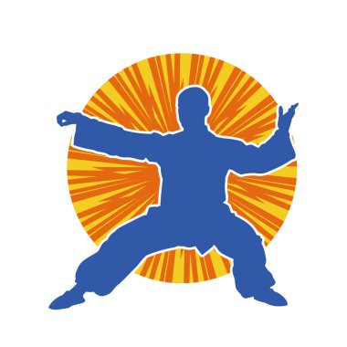 Doğu dövüş sanatı pozu veren bir adamın silueti. Dövüş sanatlarında bir erkeğin silueti..