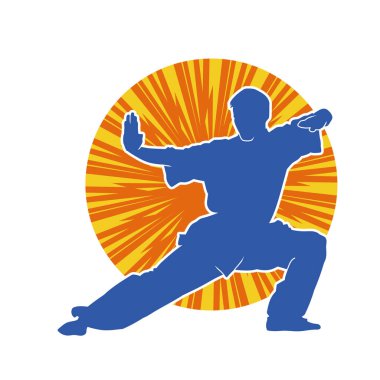 Doğu dövüş sanatı pozu veren bir adamın silueti. Dövüş sanatlarında bir erkeğin silueti..