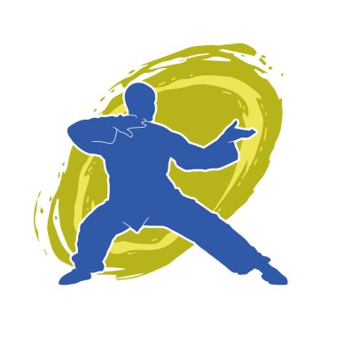 Doğu dövüş sanatı pozu veren bir adamın silueti. Dövüş sanatlarında bir erkeğin silueti..