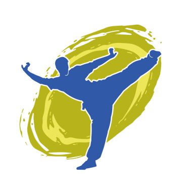 Doğu dövüş sanatı pozu veren bir adamın silueti. Dövüş sanatlarında bir erkeğin silueti..