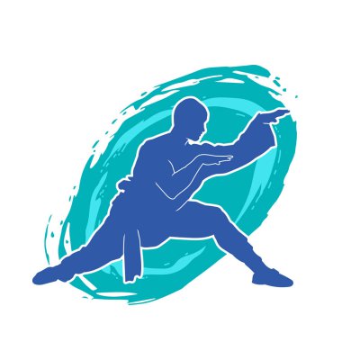 Doğu dövüş sanatı pozu veren bir adamın silueti. Dövüş sanatlarında bir erkeğin silueti..