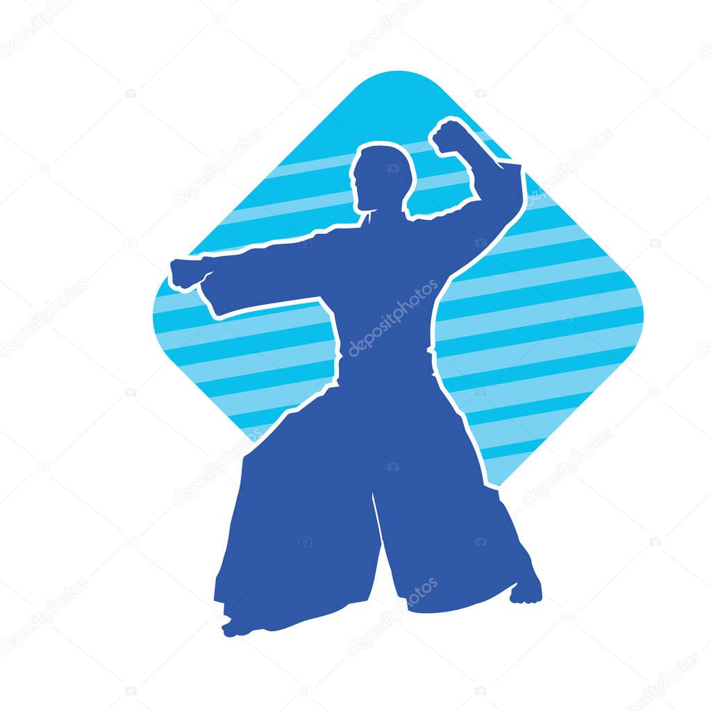 Silhouette of an aikido martial art practitioner in action pose. Silhouette of a male martial artist fighting move in aikido.