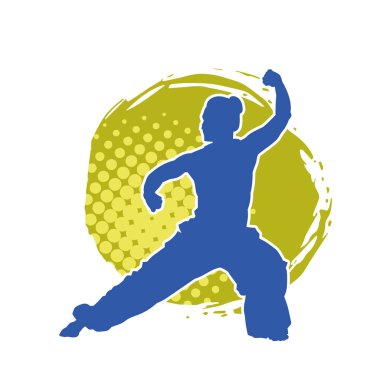 Dövüş sanatları yapan zayıf bir kadının silueti. Dövüş sanatlarında çalışan bir kadının silueti..