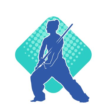 Kung fu 'nun silueti ya da Wushu dövüş sanatları sporcusu pozu. Dövüş sanatları ustasının silueti kılıçlarla poz vermiş..