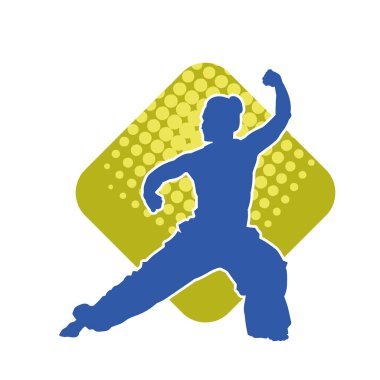 Dövüş sanatları yapan zayıf bir kadının silueti. Dövüş sanatlarında çalışan bir kadının silueti..