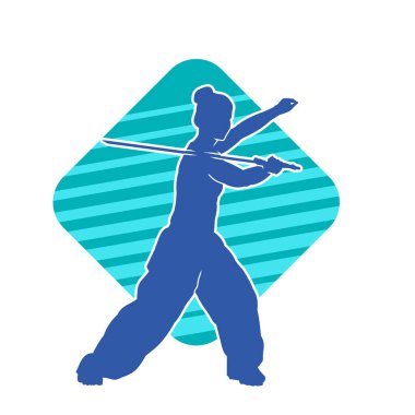 Kung fu 'nun silueti ya da Wushu dövüş sanatları sporcusu pozu. Dövüş sanatları ustasının silueti kılıçlarla poz vermiş..