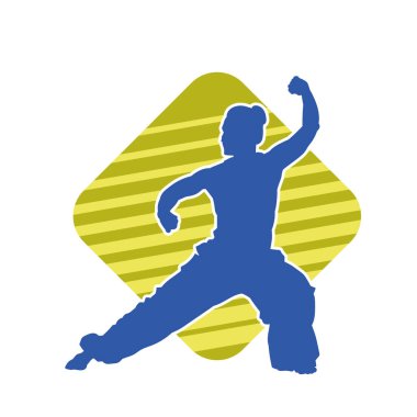 Dövüş sanatları yapan zayıf bir kadının silueti. Dövüş sanatlarında çalışan bir kadının silueti..