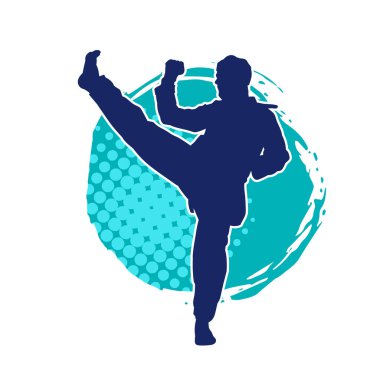 Erkek tekvando ustasının silueti iş başında.