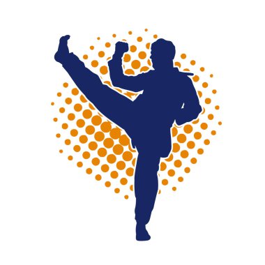 Erkek tekvando ustasının silueti iş başında.