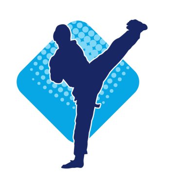 Erkek tekvando ustasının silueti iş başında.