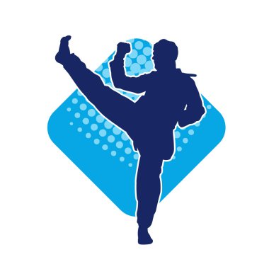 Erkek tekvando ustasının silueti iş başında.