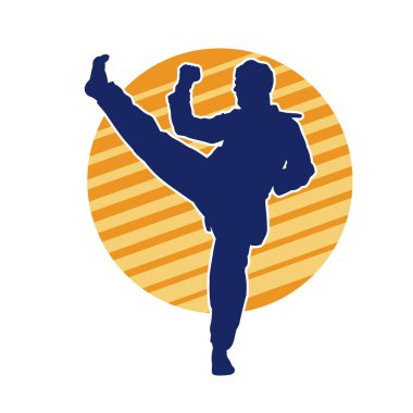 Erkek tekvando ustasının silueti iş başında.