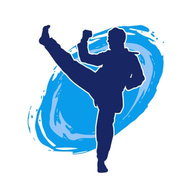 Erkek tekvando ustasının silueti iş başında.