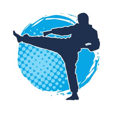 Dövüş sanatları pozu veren bir erkeğin silueti. Dövüş sanatları ustasının silueti tekme atma pozu veriyor..