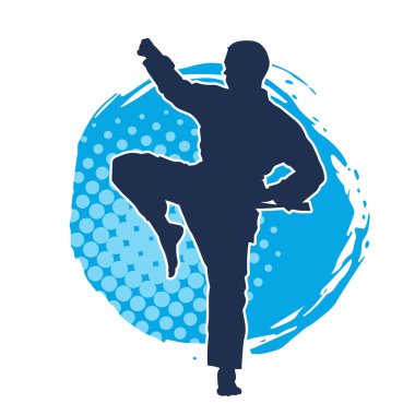 Doğu dövüş sanatı pozu veren bir adamın silueti. Dövüş sanatlarında bir erkeğin silueti..