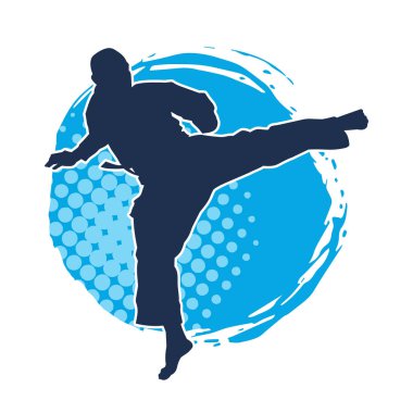 Dövüş sanatları pozu veren bir erkeğin silueti. Dövüş sanatları ustasının silueti tekme atma pozu veriyor..