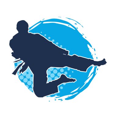 Dövüş sanatları pozu veren bir erkeğin silueti. Dövüş sanatları ustasının silueti tekme atma pozu veriyor..