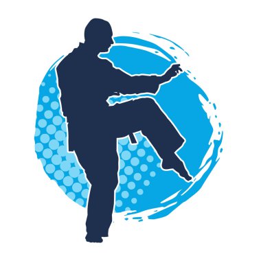 Doğu dövüş sanatı pozu veren bir adamın silueti. Dövüş sanatlarında bir erkeğin silueti..