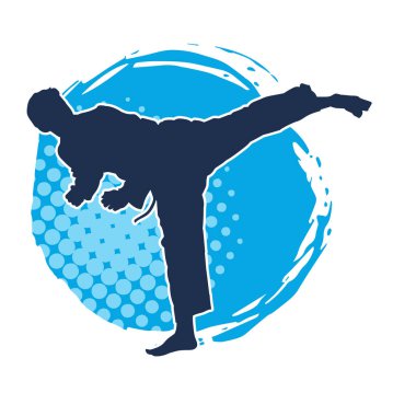 Dövüş sanatları pozu veren bir erkeğin silueti. Dövüş sanatları ustasının silueti tekme atma pozu veriyor..