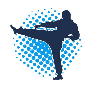 Dövüş sanatları pozu veren bir erkeğin silueti. Dövüş sanatları ustasının silueti tekme atma pozu veriyor..